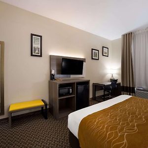 King Room Mobility accessible